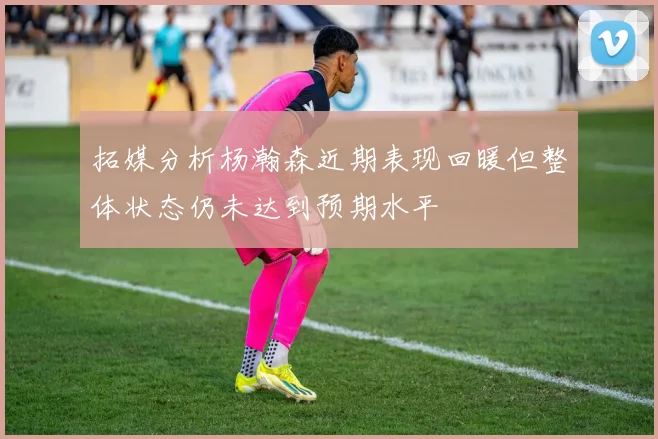 拓媒分析杨瀚森近期表现回暖但整体状态仍未达到预期水平